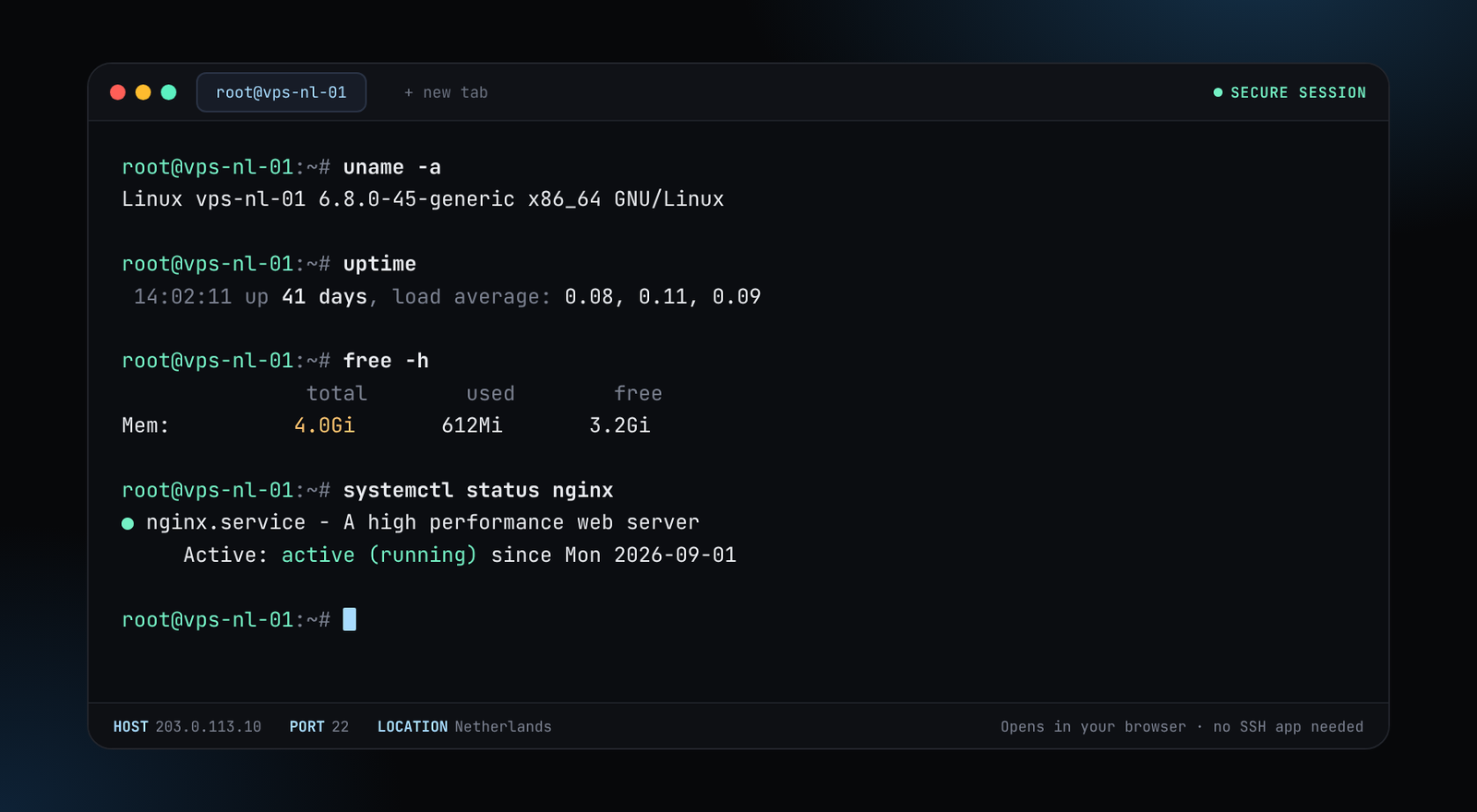 Preview of the OffshoreVps Web Console: a terminal open in the browser